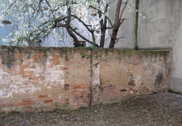 muro límite patio