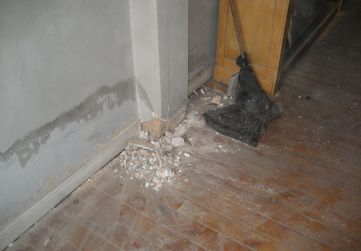 cata en muro